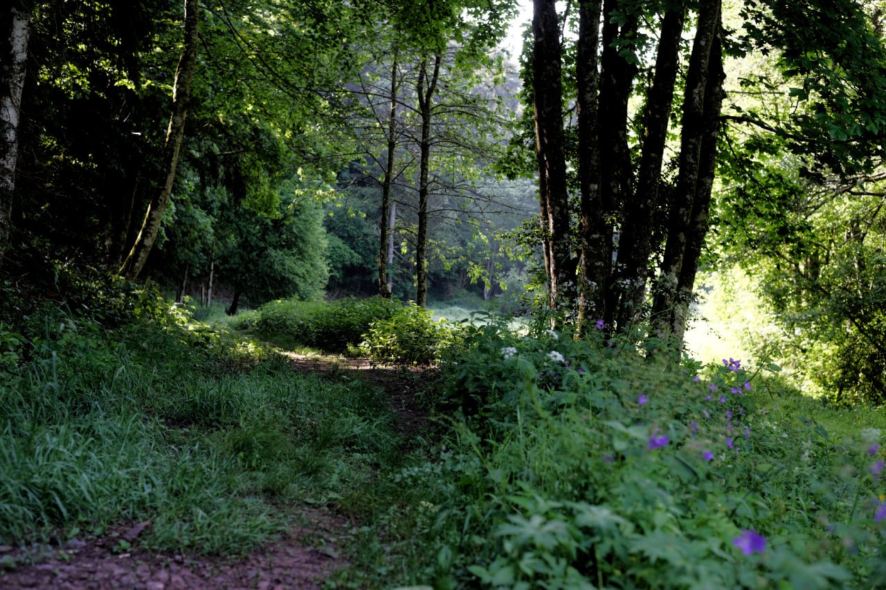 Wanderung durch das Steinatal – gerd wund